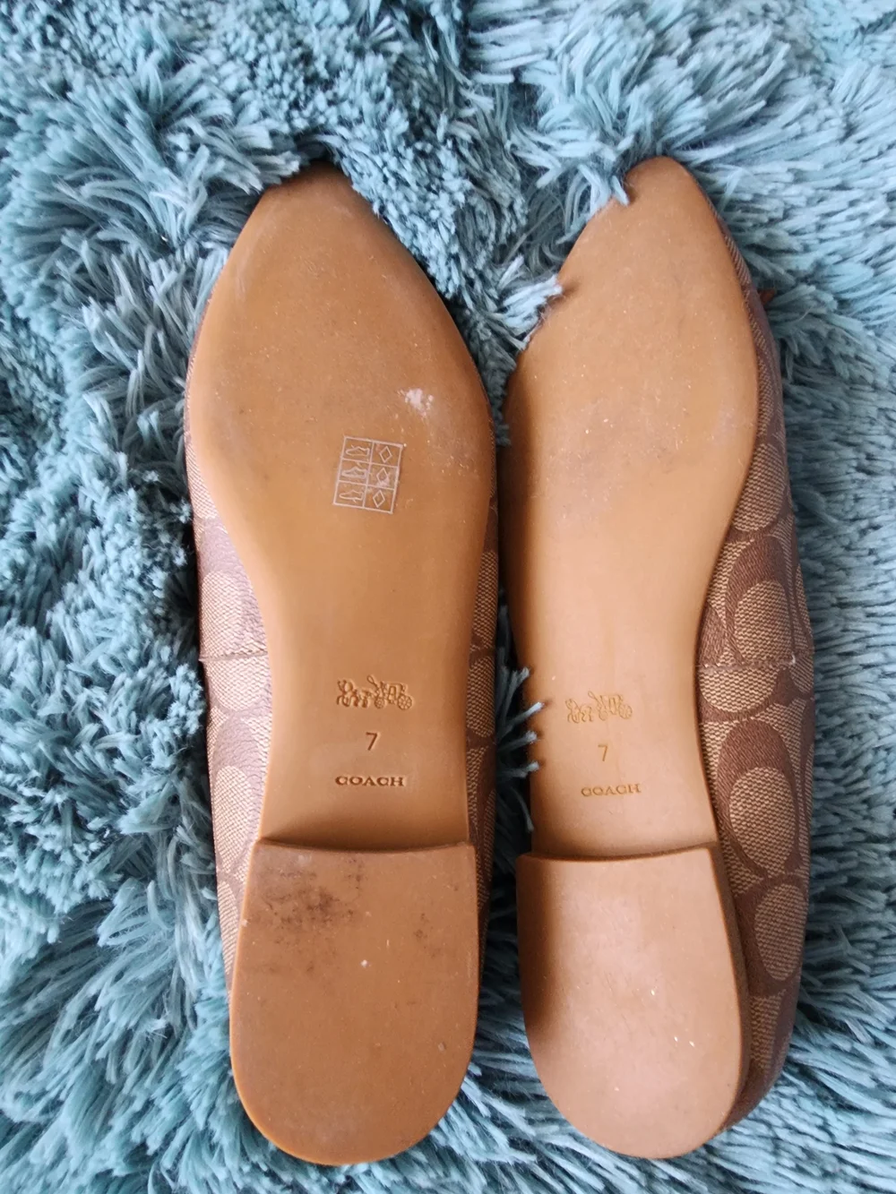 Coach pointed toe